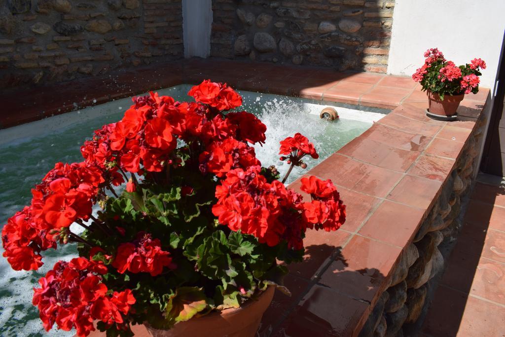 Carmen De Ramilla, Encantadora Guesthouse Con Piscina Soleada Granada Buitenkant foto