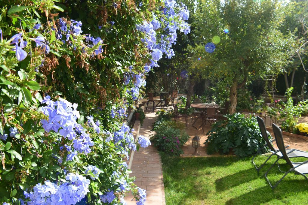 Carmen De Ramilla, Encantadora Guesthouse Con Piscina Soleada Granada Buitenkant foto